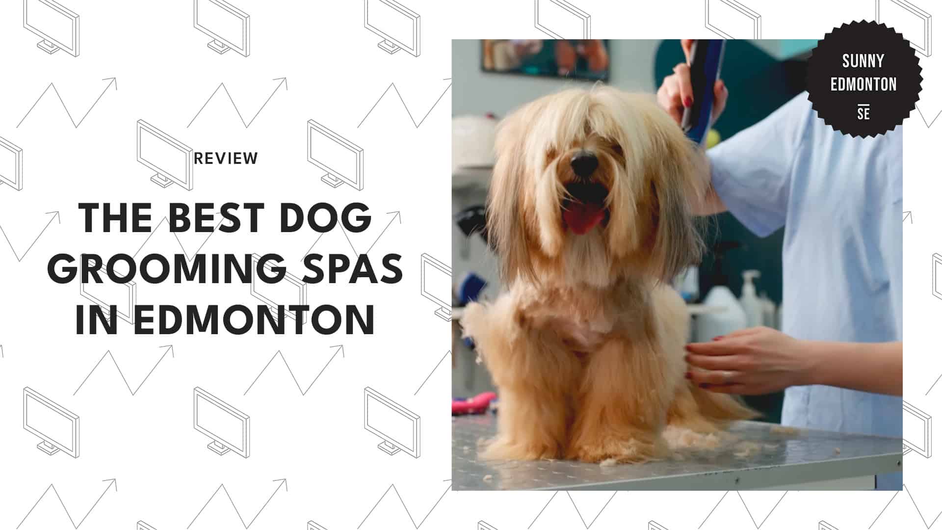 dog-grooming-spas-in-edmonton