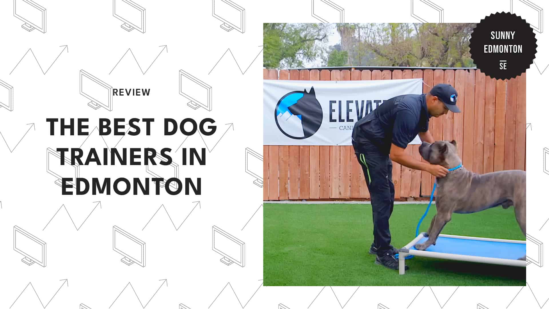 dog-trainers-in-edmonton