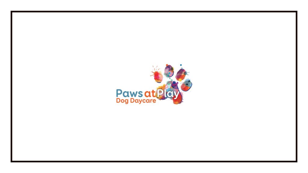 paws-at-play-dog-daycare