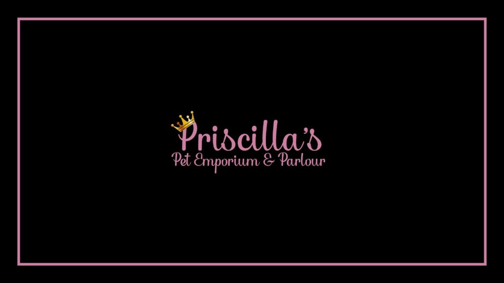 priscilla-s-pet-emporium-and-parlour