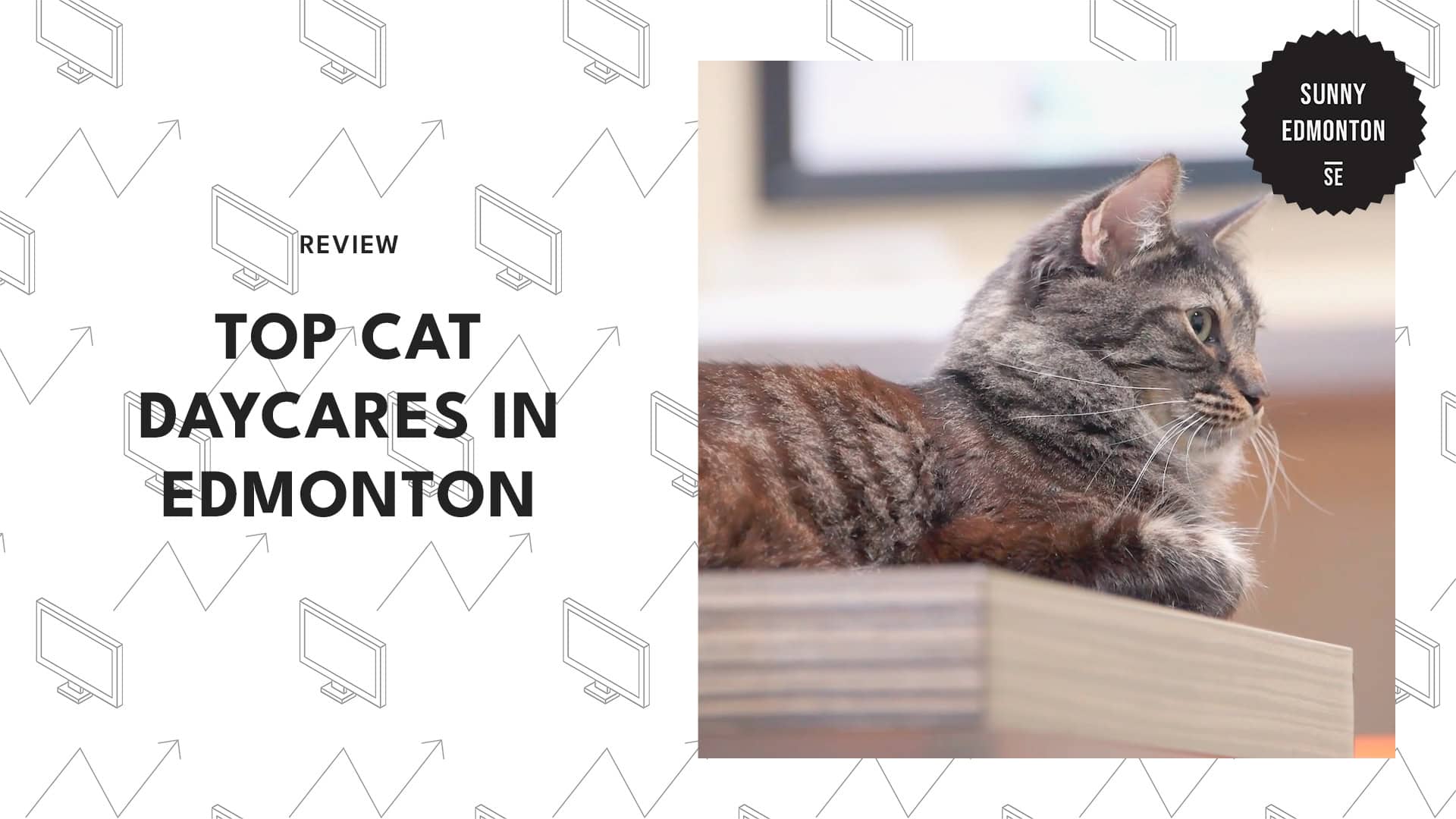 cat-hotels-in-edmonton