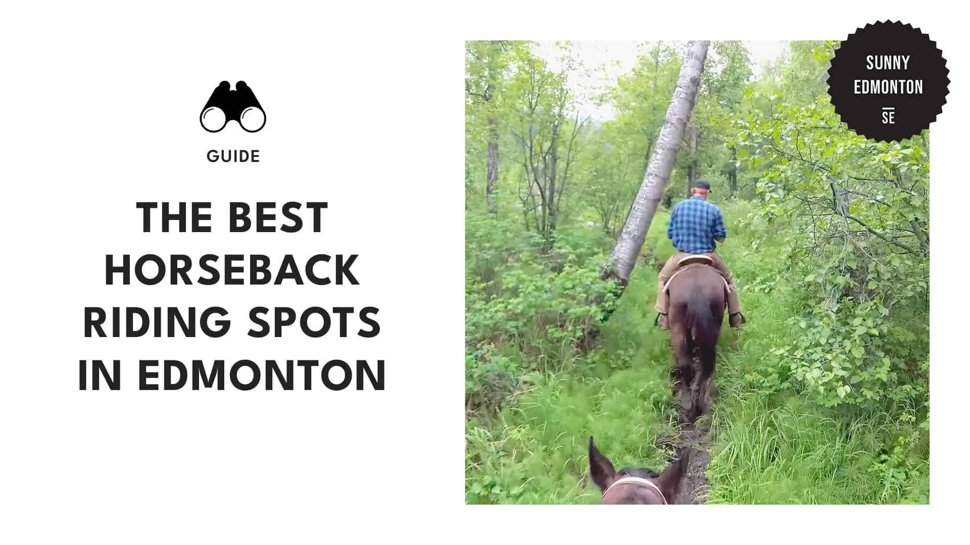 horseback-riding-spots-in-edmonton