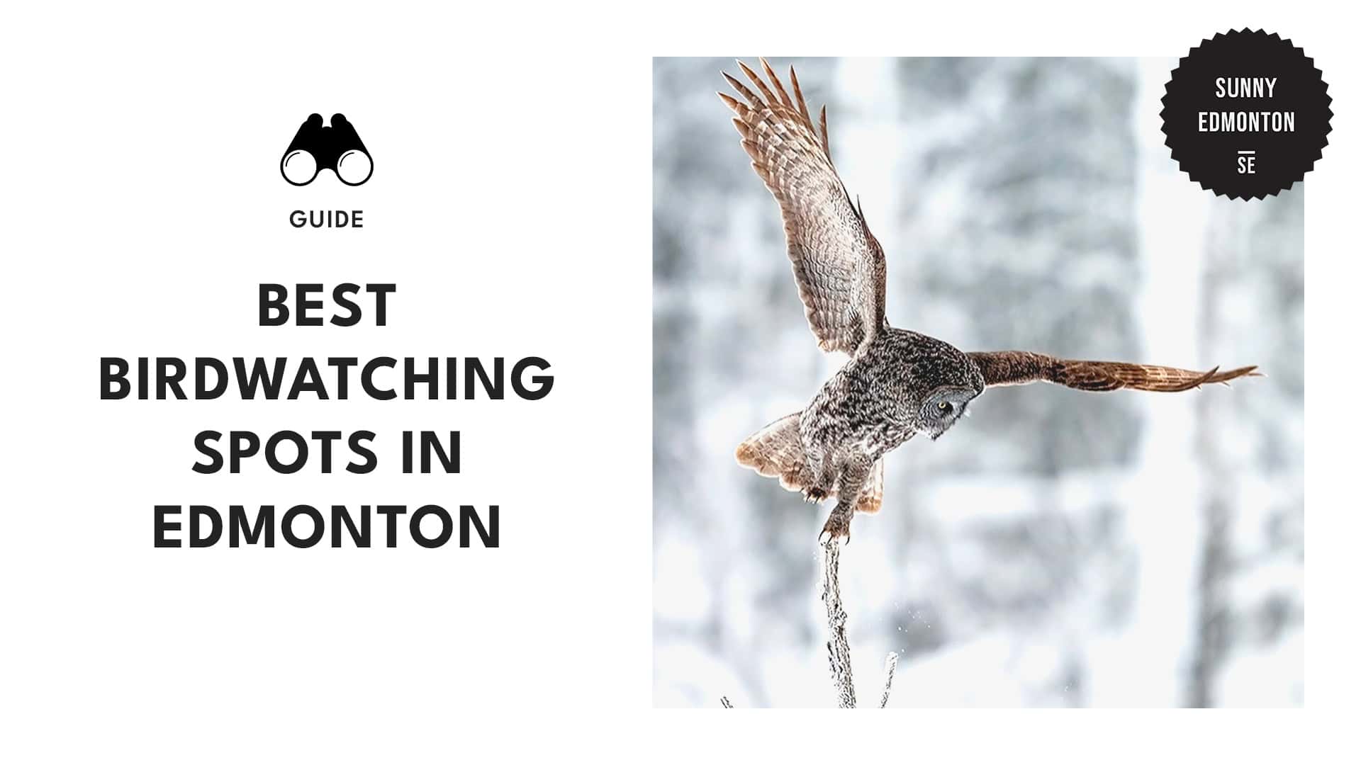 birdwatching-spots-in-edmonton